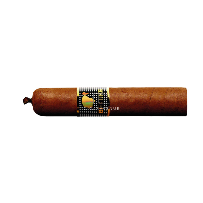 COHIBA BHK 52 10 CIGARS