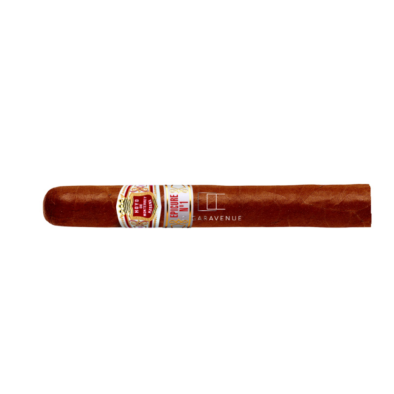 HDM EPICURE NO.1 SLB 25 CIGARS