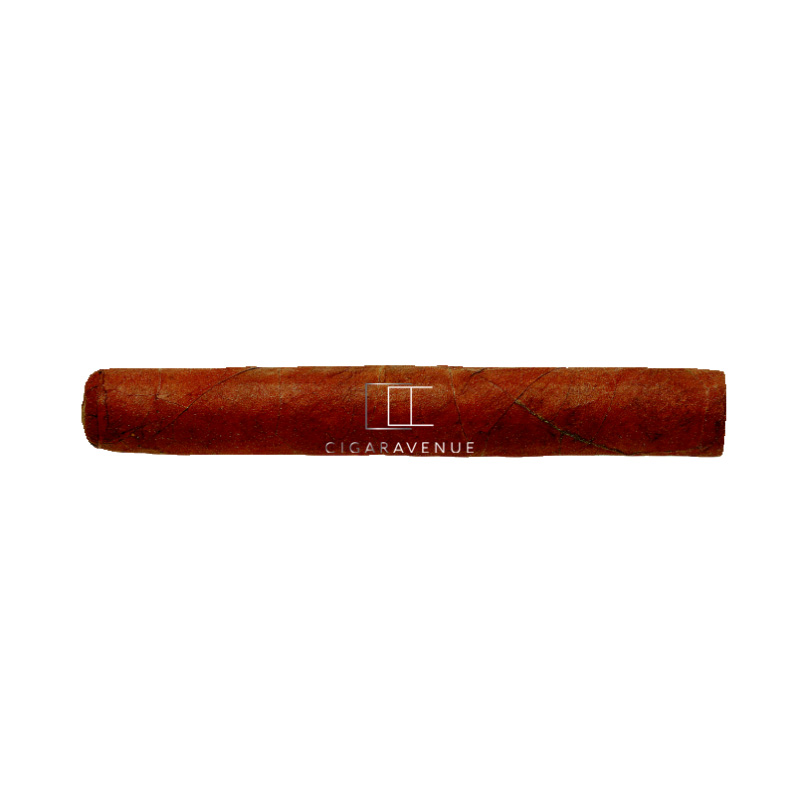 HDM LE HOYO DU DEPUTE SLB 25 CIGARS