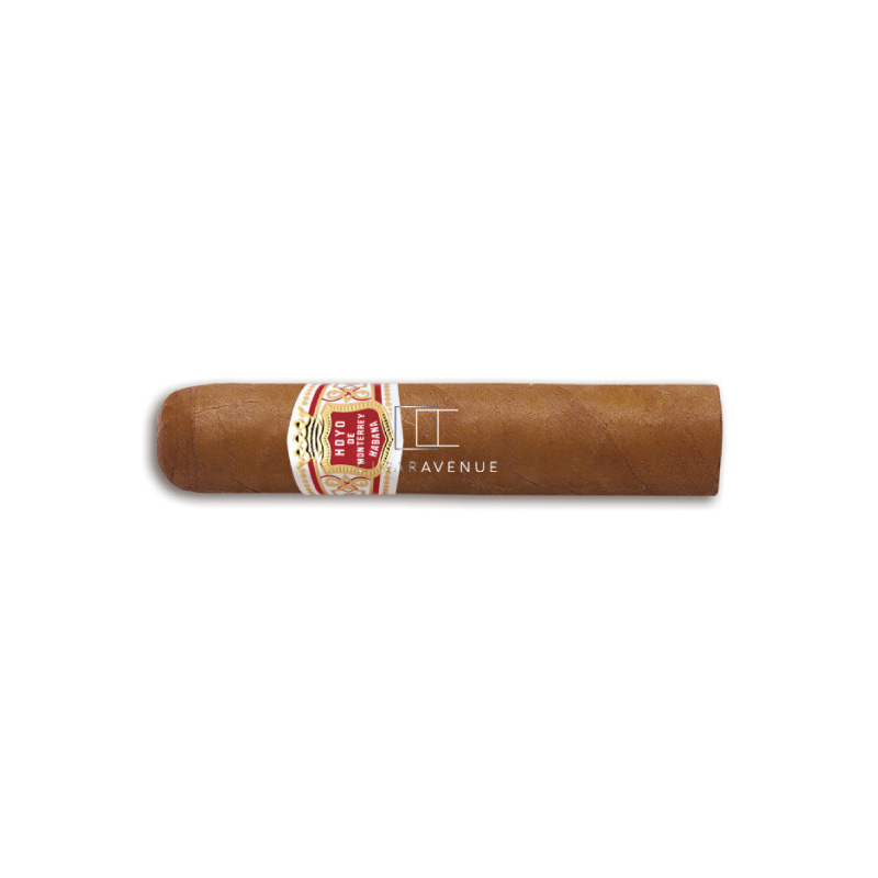 HDM PETIT ROBUSTO SLB 25 CIGARS