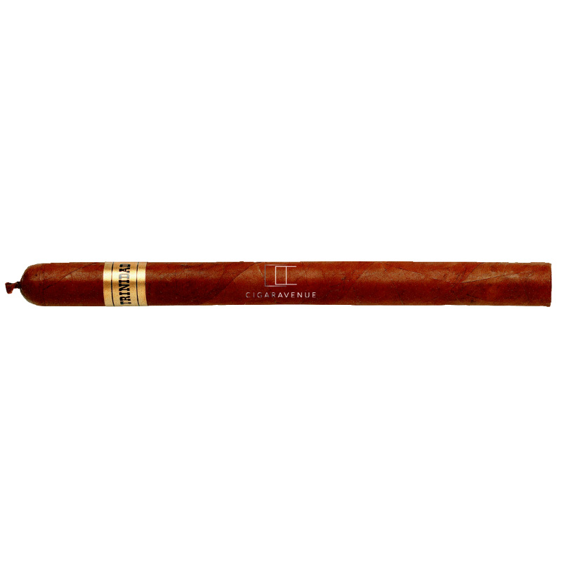 TRINIDAD FUNDADORES SBN-B 24 CIGARS