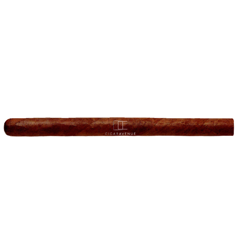 PARTAGAS SERIES NO.1 2017 SBN-UW-C/L-12,13-N-25CP