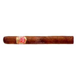 [HO033] HDM PALMAS EXTRA 25 CIGARS