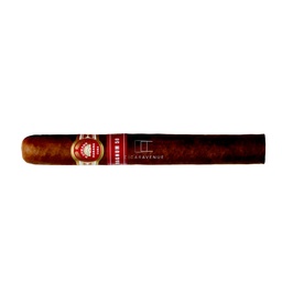 [HU085] H.UPMANN MAGNUM 50 10 CIGARS